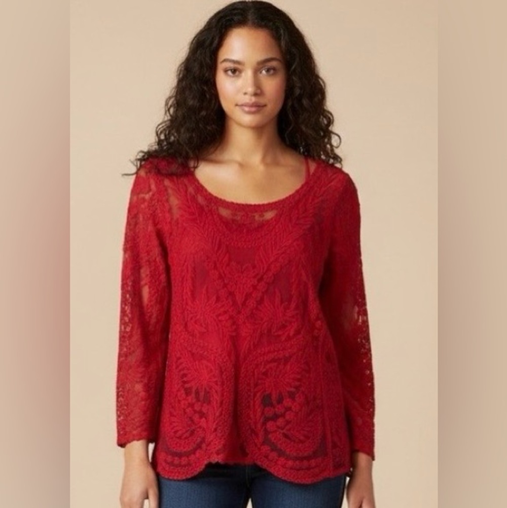 Express Red Floral Lace Long Sleeve Top - Boho Romantic Mesh Sheer Blouse size S